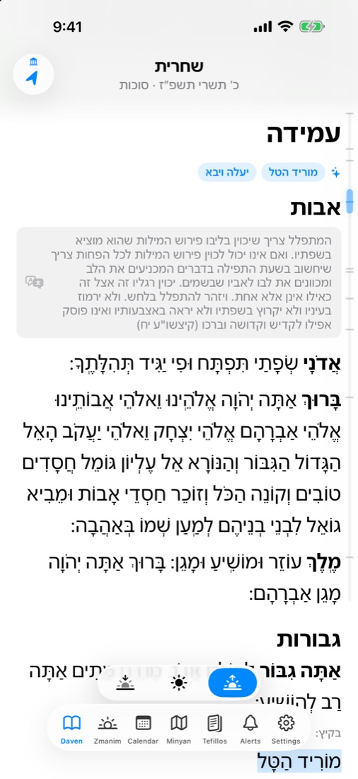 The Amidah with instructions in grey boxes